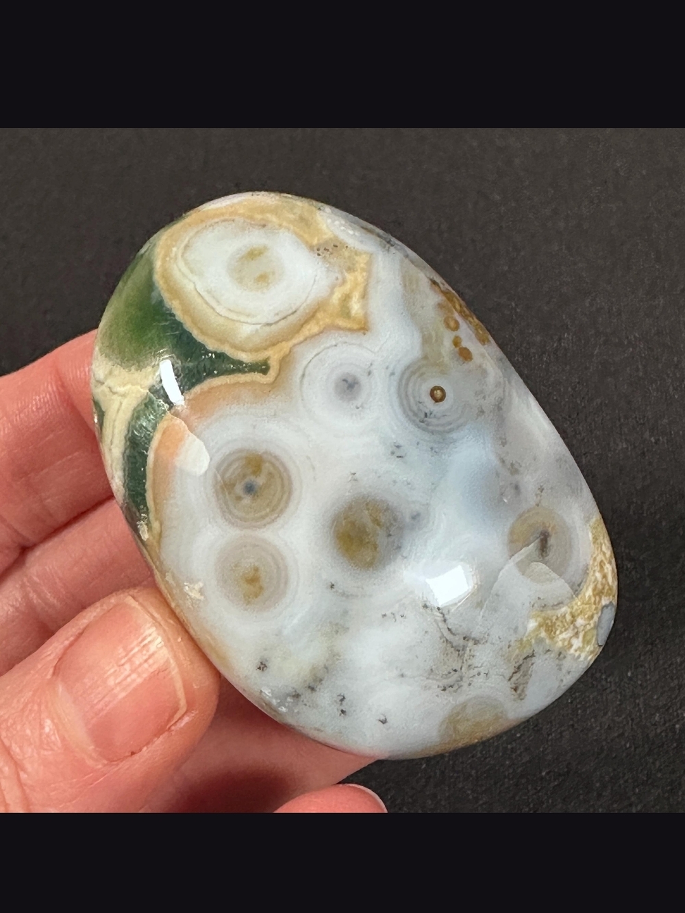 Polished Ocean Jasper Palm Stone - White, Green & Gold
